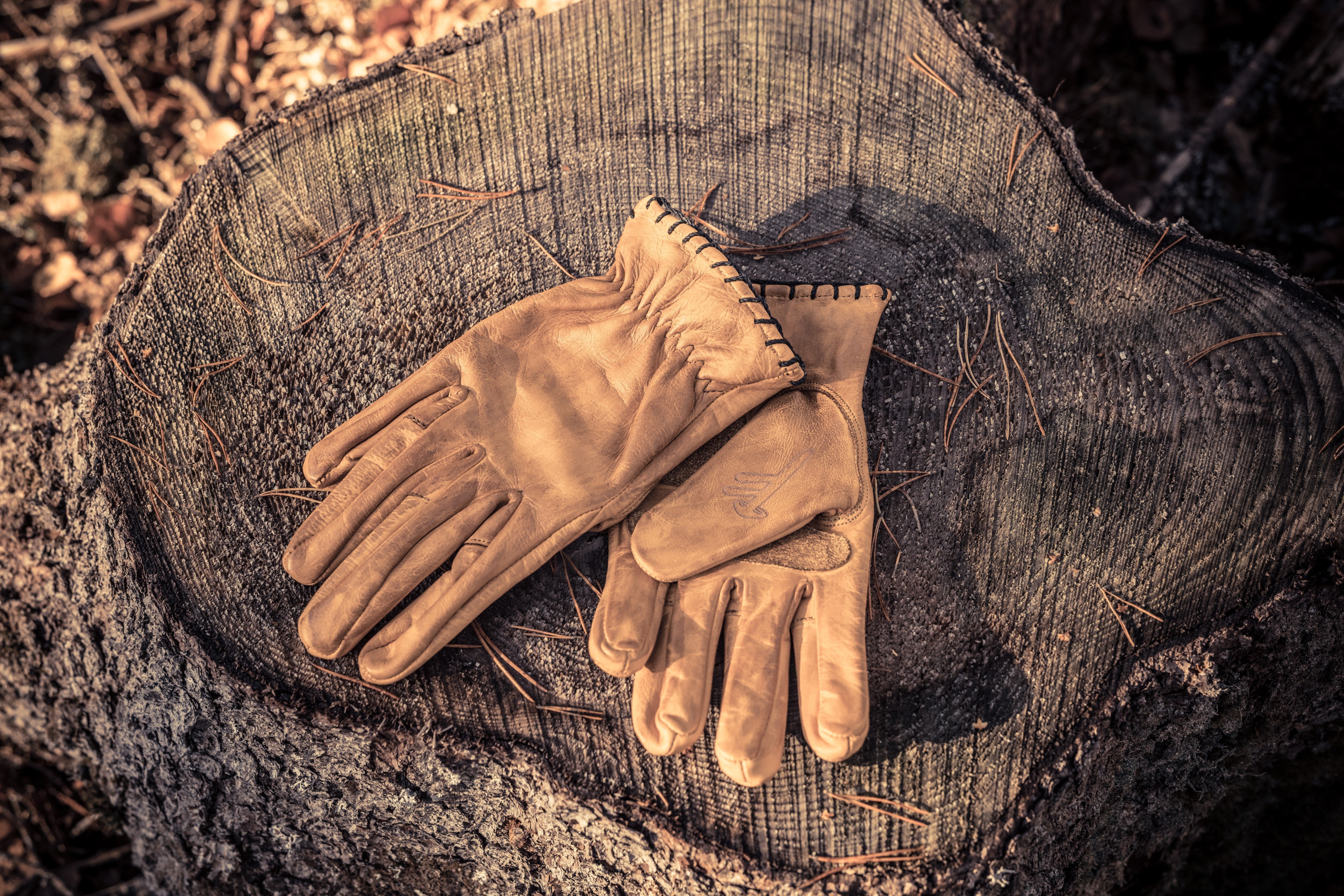 Heimdal gloves